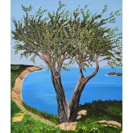 L’olivier éternel